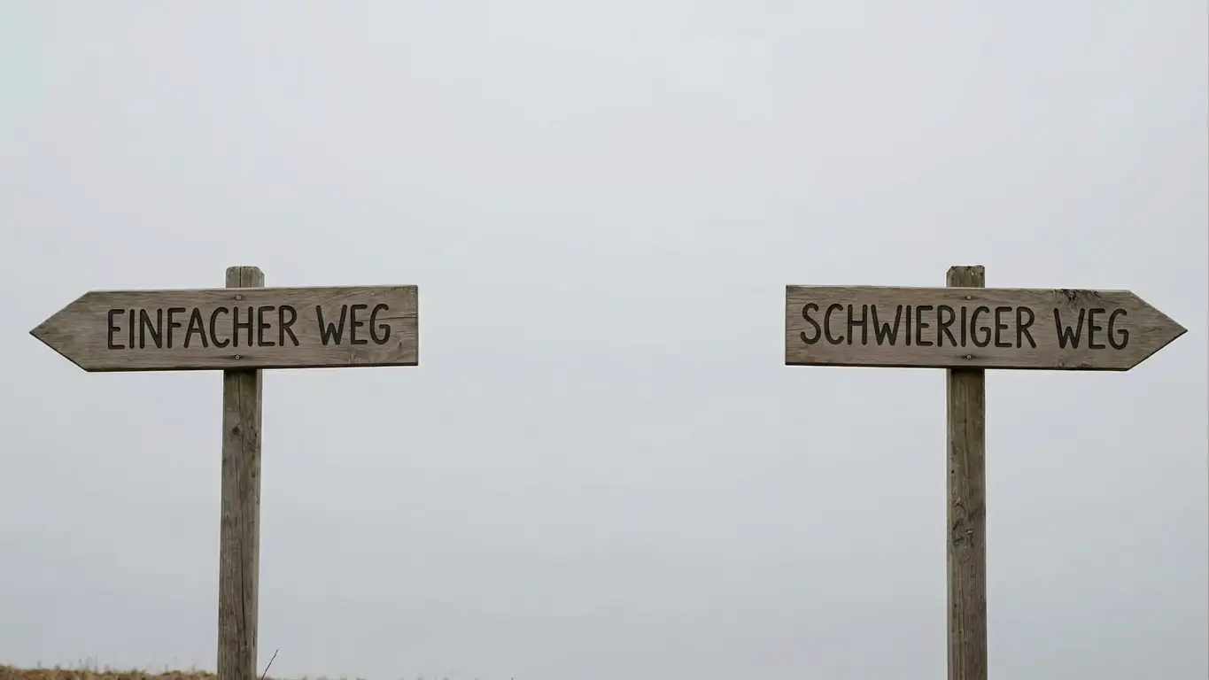 Zwei gegenüberliegende Wegweiser als Sinnbild für die Wahl mit oder ohne deutsche Lizenz